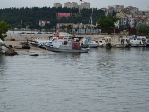 Çanakkale’de 2 gündür etkili olan yağmur, müsilajı kısmen temizledi