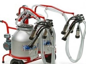Süt üreticilerine sağım makinesi desteği