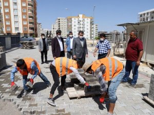 Baydilli çalışmaları yerinde inceledi