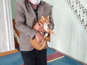 Saimbeyli’de cami görevlileri ve cemaat sokak hayvanlarına sahip çıkıyor