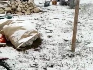 Turizm merkezi Kaş’ta yağan kar şaşkınlığı