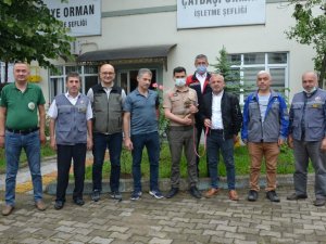 Evcil maymuna şefkat eli