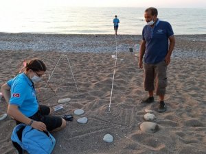 Antalya’da 2020 yılında 4 bin 853 yuvadan 204 bin 591 yavru caretta denizle buluşturuldu