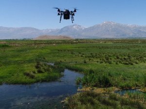 Ekşisu Mesire Alanı çevresi drone ile ilaçlanıyor