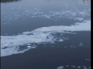 Balıkesir’de çevre felaketi...Susurluk’tan geçen çay köpürdü