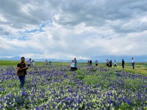 Ağrı’da renk cümbüşü