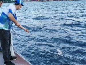 Balık tutmak için attığı oltasına takılanı görünce şaşırdı