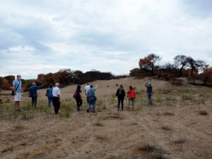 Kent Konseyi’nden Lara Kent Parkı ve Yamansaz’a inceleme gezisi