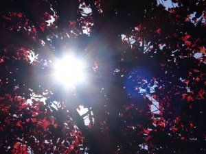 Türkiye son 50 yılın en sıcak mevsimini yaşıyor