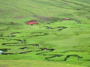 Nefesleri kesen yayla