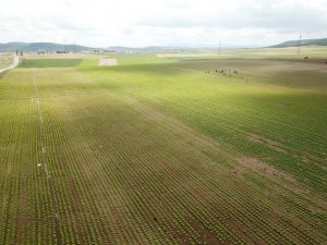 Eskişehir’de bu sulama sezonunda ekonomiye 900 milyon 250 bin liralık katkı hedefleniyor