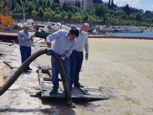 Düzce Belediyesi Marmara Denizi’nde musilaj temizliği yaptı