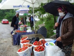 Ünlü Demirciören çileği tezgâhlarda