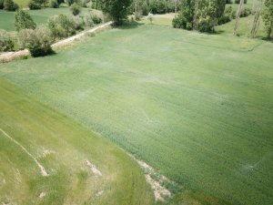 Kütahya 2021 yılında 53 bin 500 dekar alan sulanacak