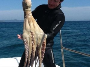 Dev ahtapotu zıpkınla yakaladı