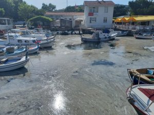 Bozcaada’da müsilaj görüldü