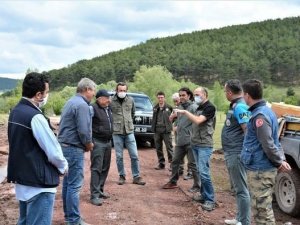 Kütahya’da “Lütfiye Bal Ormanı” için start verildi