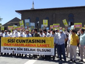 Mısır’da İhvan liderlerine yönelik idam kararları Diyarbakır’da protesto edildi