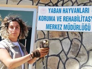 Yaralı kuşlar tedavi altına alındı