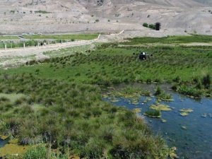 Erzincan’da sulak alanlar havadan ilaçlandı