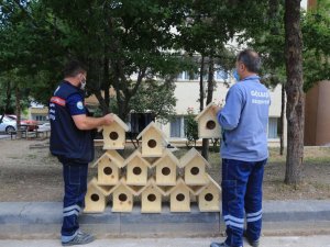 Gölbaşı Belediye Başkanı Ramazan Şimşek’ten minik canlara yuva