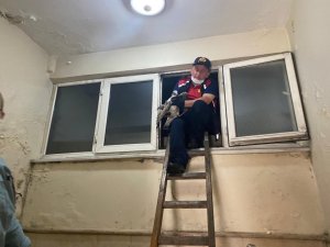 Apartman boşluğuna düşen yaralın martının imdadına itfaiye ekipleri koştu