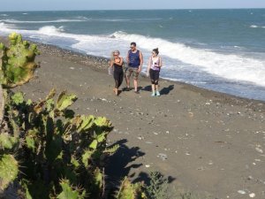 Koruma Altına alınan Alata Sahili’nde deniz kaplumbağaları güvende