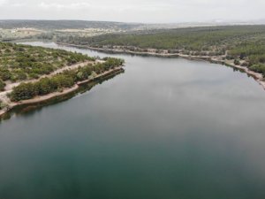 Haziran yağmurları Musaözü Göleti’ni canlandırdı