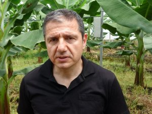 Prof. Dr. Sert: “Muz seraları toprağı verimsizleştirip yer altı sularımızı tüketiyor”