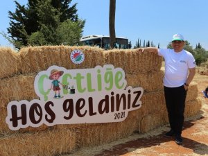 Kepez’de buğday hasatı sonrası boşalan topraklara meyve ve sebze ekiliyor