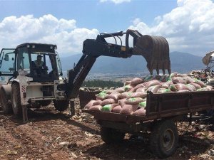 Osmaniye’de bin 175 kilo kavrulmuş fıstık imha edildi