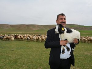 TÜDKİYEB Genel Başkanı Çelik: "Kurbanlık satışlarında kurallara uymayanlara cezalar artırıldı"