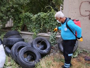 Yaz aylarının gelmesiyle ilaçlama seferberliği başlatıldı