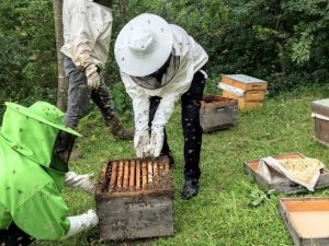 Başkan Yüce: “Sakarya arıcılıkta daha iyi noktalara ulaşacak”