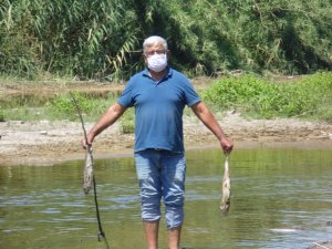 Menderes’teki balık ölümleri endişelendirdi