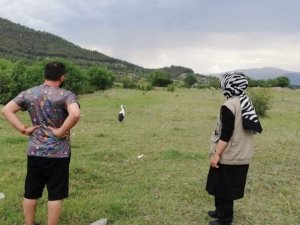 Tedavisi tamamlanan yaralı leylek doğaya bırakıldı