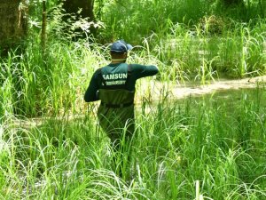 Samsun Büyükşehir Belediyesi 17 ilçede vektör mücadelesi başlattı