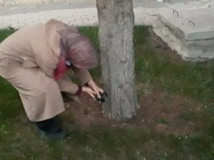 Yuvadan düşen minik saksağanlar için itfaiye seferber oldu