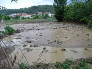 Dereler taştı, tarım arazileri sular altında kaldı