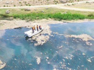 Sakaryabaşı’nda kontrol ve denetimler