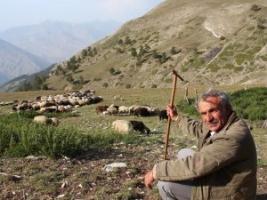 Çoban üretim için yol istedi