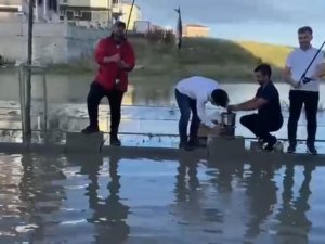 Göle dönen yolları tiye aldılar, balık tutup mangal yaktılar