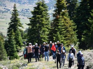 Toroslarda doğa yürüyüşü