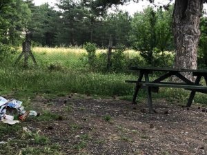 Piknikçiler Gölpark’ı adeta çöplüğe çevirdi