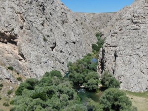 Kaymakam tanıtım için kendini Tohma çayının sularına bıraktı