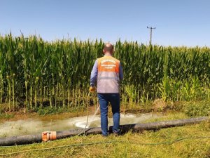 Bismil’de haşere ile mücadele çalışmaları devam ediyor