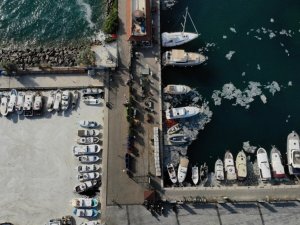 Prof. Dr. Yiğit: “Canlı avladığınız ya da tezgahlardaki balıkları tüketebilirsiniz”