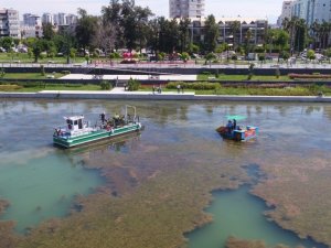 Boğaçayı Bilim Kurulu toplandı