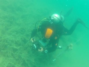 Müsilaj Marmara’da ’deniz çayırı’nı da yok ediyor