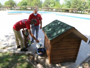 Sokak hayvanları için yem ve su bırakıldı
